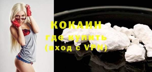 шишки Куйбышев